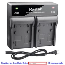 BP-511 Battery orDual Rapid Charger for Canon FV2 FV10 FV20 FV30 FV40 FV50 FV100