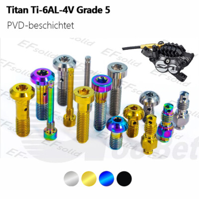 Titan Ti SAINT 8020 ZEE Bremse Set Kit Schraube Für Fahrrad MTB Tuning Reparatur