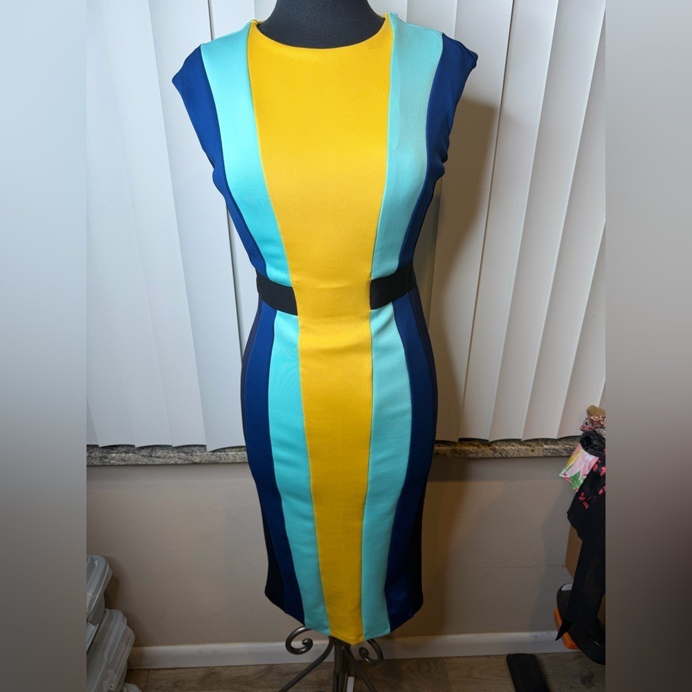 Eva Mendes New York & Company Colorblock Bodycon Dress Size XS