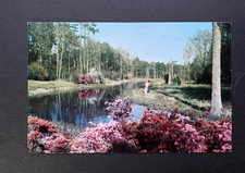 Vintage Postcard ~ Lagoon at Beauvoir Jefferson Davis Shrine ~Biloxi Mississippi