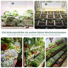Bild 12 von 12