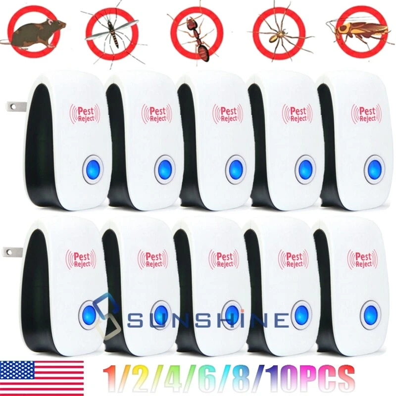 Are Wall Plug Ins Safe For Dogs are-wall-plug-ins-safe-for-dogs
