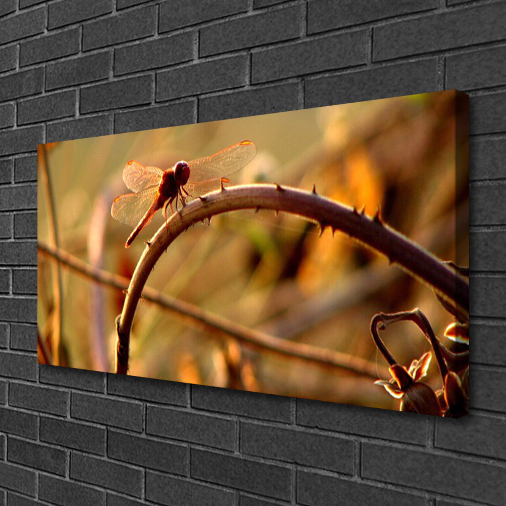 Photo sur toile 100x50 nature décoration murale grand tableau libellule