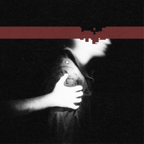 Nine Inch Nails Slip, The (Cd + Dvd) (CD) Album - Photo 1/1