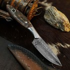 7.8" EDC Hunting Damascus Knife Handmade Tang Ram Horn Handle Leather Sheath — photo 6