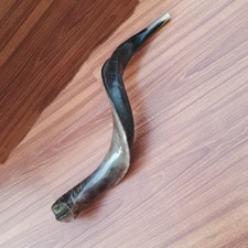 Kudu Horn Shofar Blowing Horn 24 Inch Made in Jerusalem Great Sound