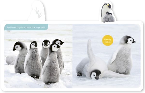 Thumbnail - Der Pinguin