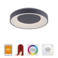Led Deckenlampe Anthrazit Dimmbar Fernbedienung Rgb Cct Tuya App Smarthome