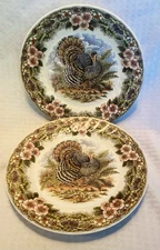 2 Myott Churchill Thanksgiving Turkey Dinner Plates Colorful Bird & Flowers 10”