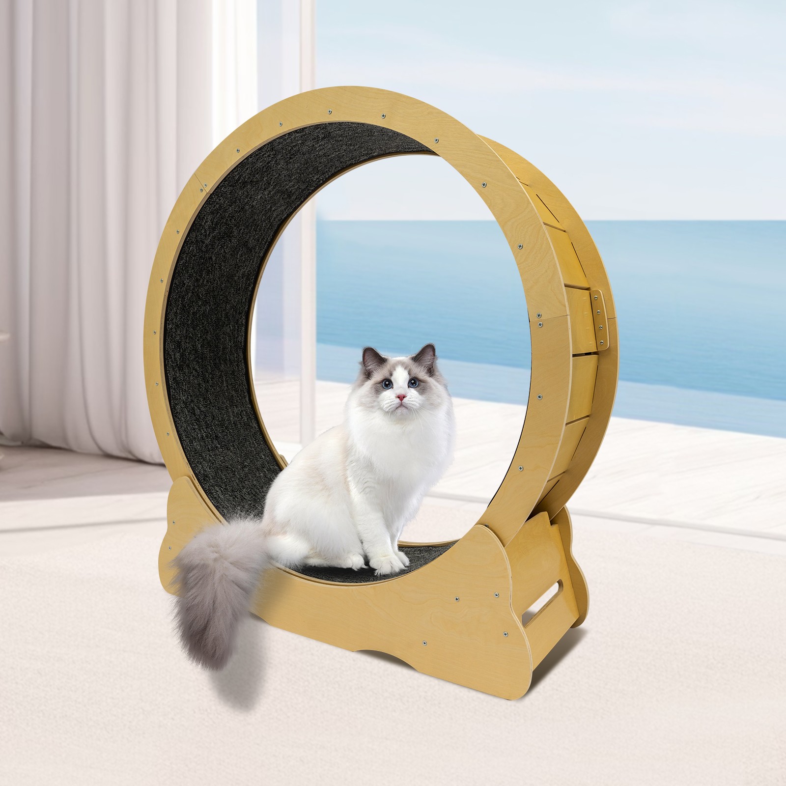 42 inch Large Cat Treadmill, Cat Treadmill for Indoor Cats, Cat Exerciser Wheel