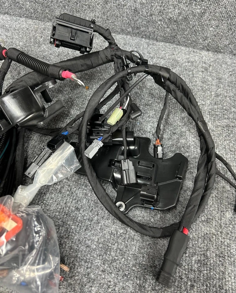 Arnés de cableado principal Softail ABS Harley-Davidson 2021-2022 OEM 69202197 Foto 3 de 4