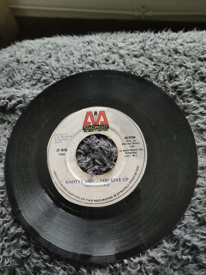 KNOTTY DON'T YOU GIVE UP-HOPETON J.N.R.-REGGAE VINYL 7''45RPM.MICRON JA.VGC
