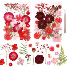 Dried Pressed Flowers Real Natural Dry Leaves Bulk Mixed Red