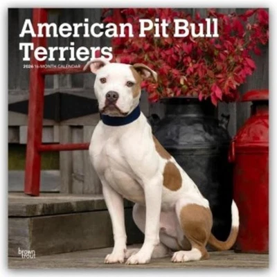 BROWNTROUT VERLAGS GMBH American Pit Bull Terriers 2026 - 16-Monatskalender Browntrout Publishers