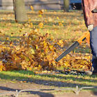 Bild 12 von 14