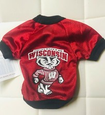 Wisconsin Badger Jersey for Tiny dogs or Tiny Cats