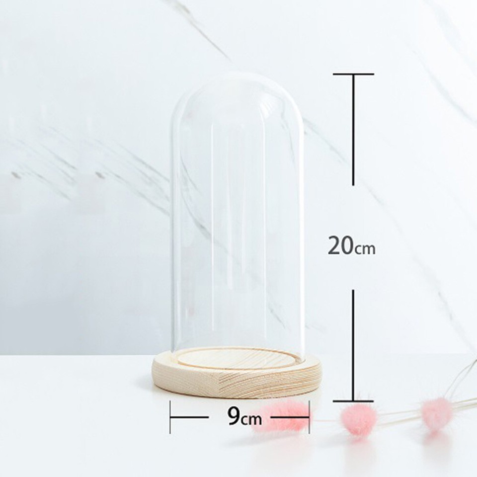 Clear Glass Dome Display Bell Jar Cloche Wood Base Figure Storage