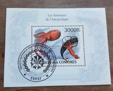 Bloc Timbre COMORES Les animaux de l'Antarctique année 2010 Oblitéré