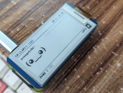 pwnagotchi (Raspberry Pi 0 W) Network Testing Virtual Pet! with waveshare screen