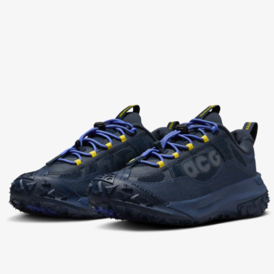 Nike ACG Mountain Fly 2 Low Gore-TEX Shoes 'Dark Obsidiain