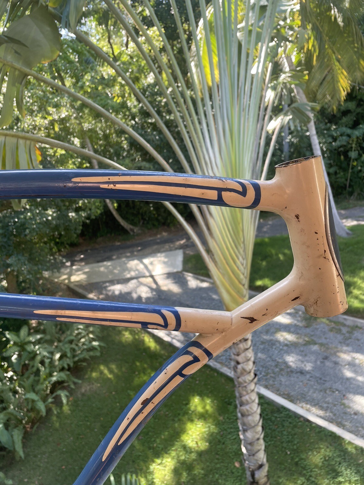 Schwinn Straight Bar Frame 26 Original Paint, kickstand Included