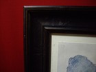 Picture 6 of 6