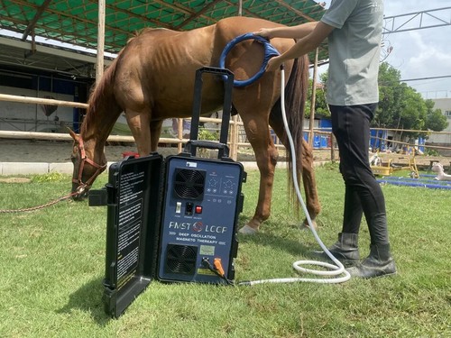 PMST LOOP PEMF Cavallo Spalla Equina Doppie Ali Pulsate Lesioni Terapia Salute - Foto 15 di 15