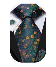 Ties for Men Silk Mens Paisley Floral Striped Necktie and Blue Green Orange