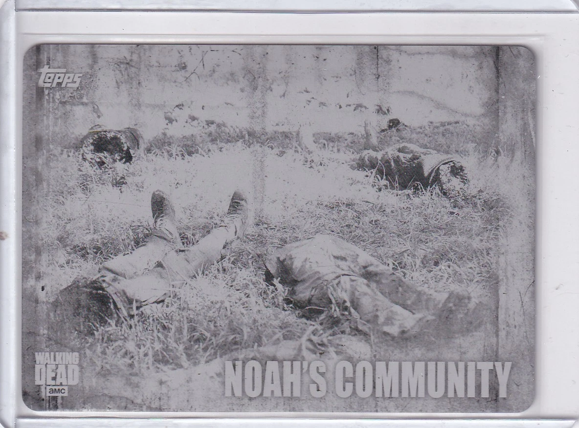 25+ The Walking Dead Collectable Trading Card Printing Plate for