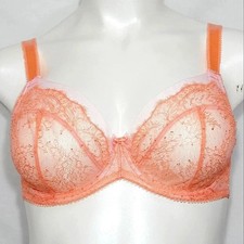 40D Paramour 115014 by Felina Amber Unlined Lace Coral NWT