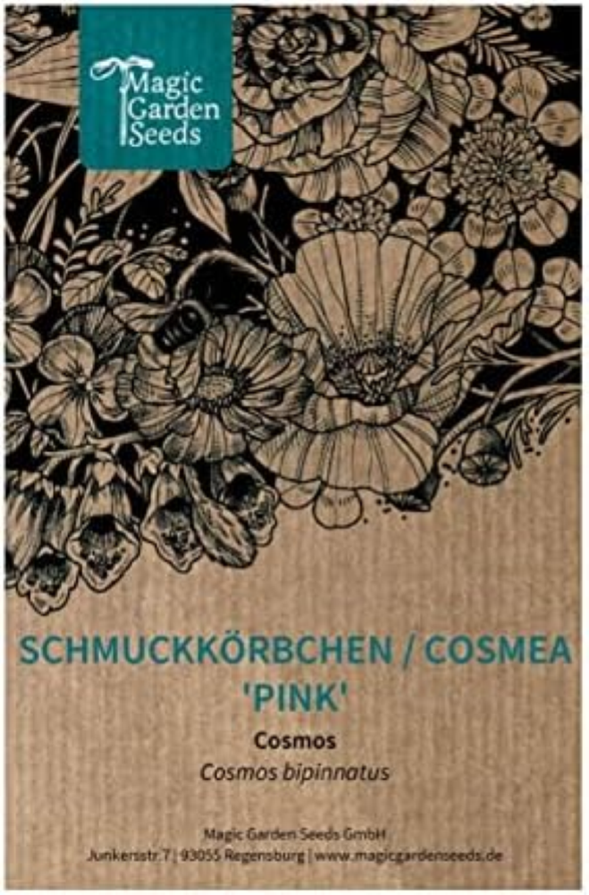 Cosmea 'pink' (Cosmos bipinnatus) circa 300 semi di questo fiore annuale estivo
