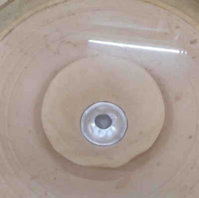 CORAL FLAT-10 25cm double cone type full range One unit Speaker | eBay