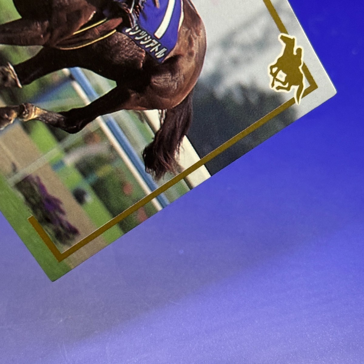 その他 EPOCH HORSE RACING TRADING CARDS $_57.JPG?set_id=880000500F
