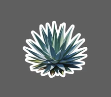 Blue Agave Sticker Waterproof Decal Plant Tequila Drink Bar Plant Gift NEW