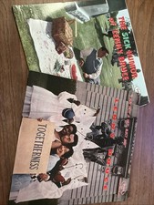 Lenny Bruce Original Comedy LPs Vinyl Records