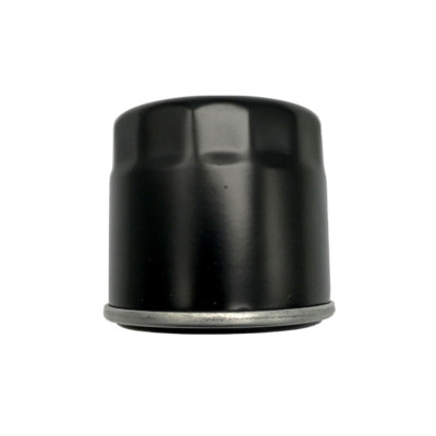 Ölfilter Oil Fuel Filter for Hisun 400 500 700 ATV UTV Quad 15200-003-0000