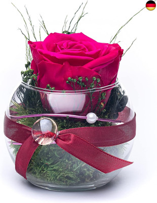 Rosen-Te-Amo |Ewige Rose im Glas duftend, handgefertigt, magenta|Echte ewige
