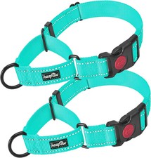 Escape-Proof Martingale Dog Collar, Turquoise, Medium