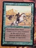 Mtg Autographed FE Sea Sprite x4 Playset Legends Whirling Dervish Signed