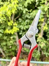 MASAKUNI Bonsai Tool pruning shears No.2020