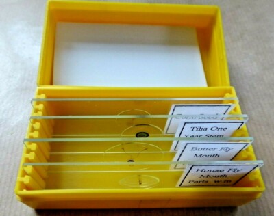 4 vorbereitete Objektträger brandneu 2 Vegetationen, 2 Insekten in Kunststoffbox (Nr. 8)
