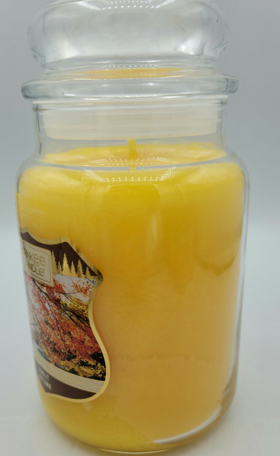 Yankee Candle Woodland Road Trip Collection Sunlit Autumn 22 oz Large