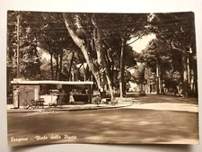 Fregene (Rome). Viale della Pineta.