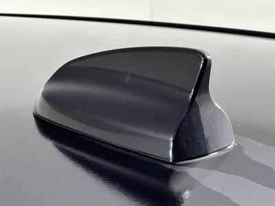 300       2022 Antenna 2695863