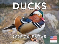 Duck Calendar 2026 Ducks Monthly Wall Calender 12 Month