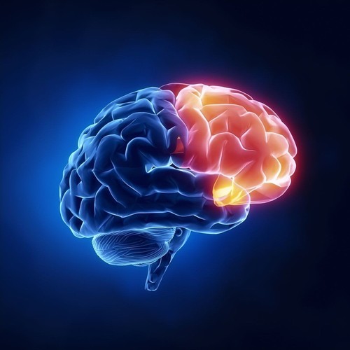 mucuna pruriens extract - DOPA 350mg 99% - dopamine brain food - 2 Bottles - 第 9/12 張圖片