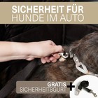 Bild 7 von 7