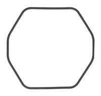 Dichtungsring Casio O-Ring Schwarz PRG-100 10242431