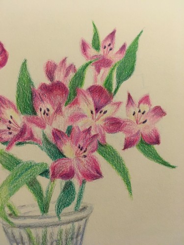 matita colorata originale fresia FIORI - Foto 3 di 4