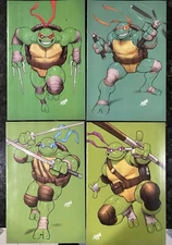 TMNT #s 1-4 Book Set DAVID NAKAYAMA DNA 2024 EXCLUSIVE VIRGIN VARIANT SET ALL NM